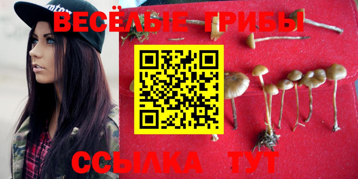Галлюциногенные грибы Psilocybe Тобольск
